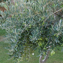 2015-09-09 07-50-30 Hotel